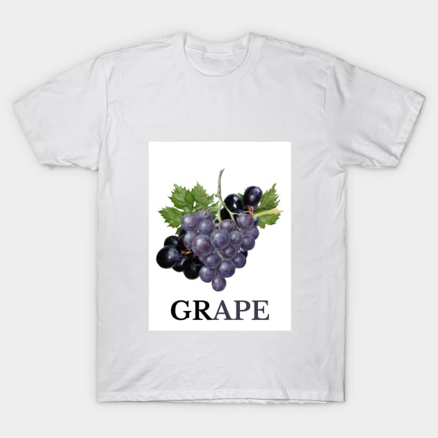 GRAPE T-Shirt by wide xstreet